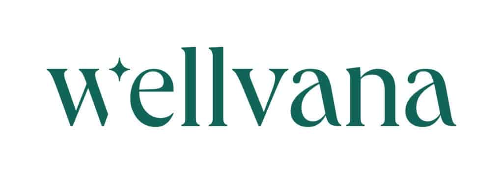 Wellvana Full Logo Celadon